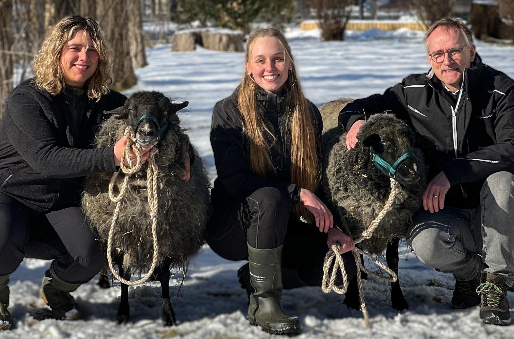 Rasenmäääher – ein rasen(d) Scha(r)fes Projekt