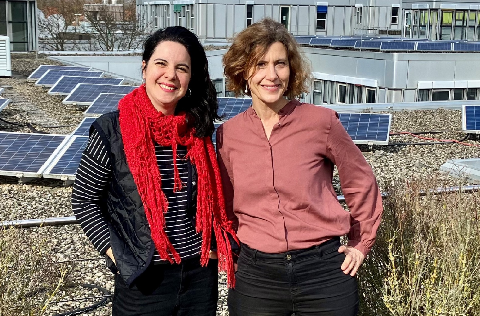 Lehrprojekt „Nachhaltig WIRksam“. Demokratie stärken durch Wissenschaftskommunikation