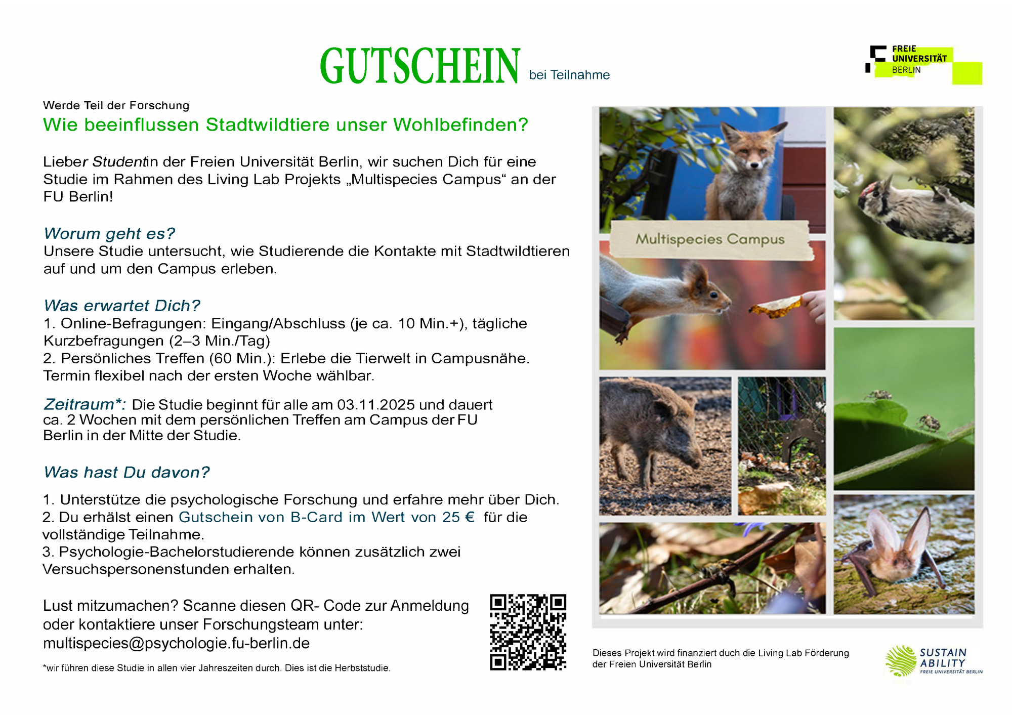 Stadtwildtiere-Flyer-Herbst