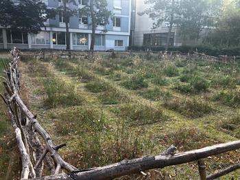 Gary Biodiversity Experiment at the OSI Bibliothek