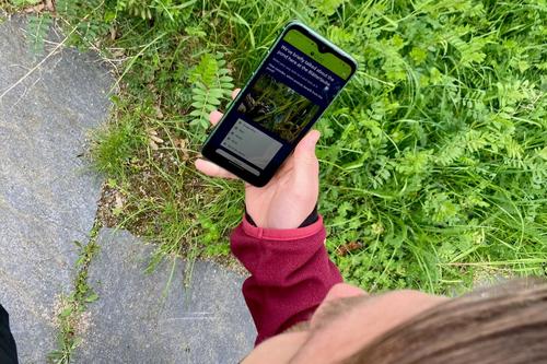 FU-Campus-Rallye: Spielerisch Nachhaltigkeit entdecken