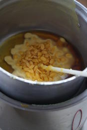 Workshop: Die Wunderwelt der Bienen und das Geheimnis unseres Überlebens!