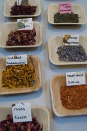 Workshop: Färberwerkstatt - Farben aus der Natur selber herstellen