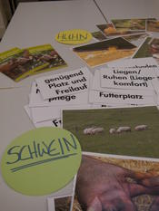 Beim Workshop "Hereinspaziert in den Stall der Zukunft" mit PROVIEH e.V.