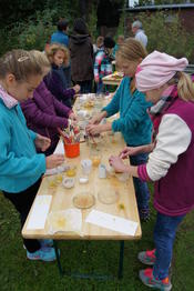 Workshop: Färberwerkstatt - Farben aus der Natur selber herstellen
