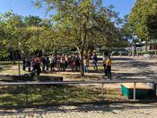 Schüler:innen Uni in der Blätterlaube