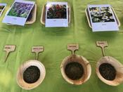 Schüler:innen Uni in der Blätterlaube