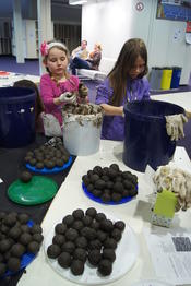 Lange Nacht der Wissenschaften: "Saatbälle to go"