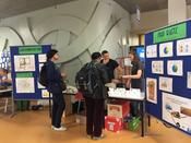 Wenns Essen umsonst gibt...