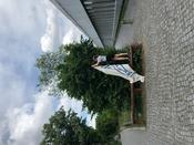 Vorbereitungen für die Sustainability Days 2022