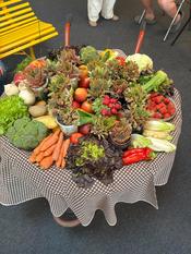 Bei den Sustainability Days 2025