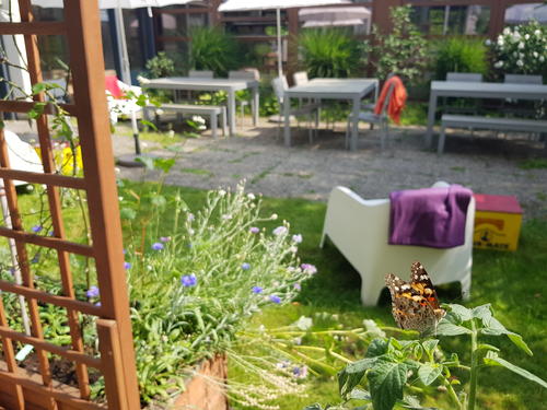 Entspannt Nektar schlürfen