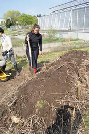 Bildergalerie_Huegelbeet_9