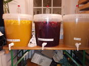 Bienen, Honig und Met