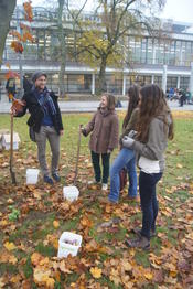 Blumenpflanzen für die Wildbienen!