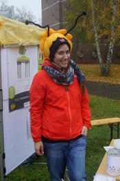 Blumenpflanzen für die Wildbienen