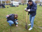 Blumenpflanzen für die Wildbienen!