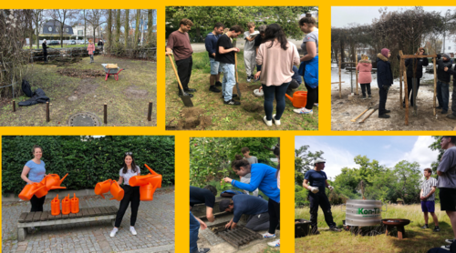 Umsetzung auf der Apfelwiese 2023