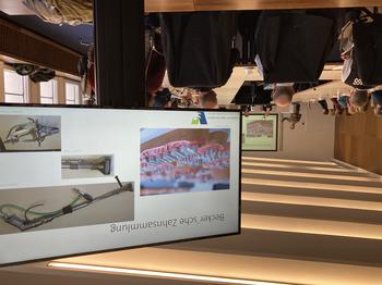 Kick-Off-Sammlungstreffen am 07.11.2022 – Vortrag über die Becker'sche Zahnsammlung der Veterinärmedizinischen Bibliothek.