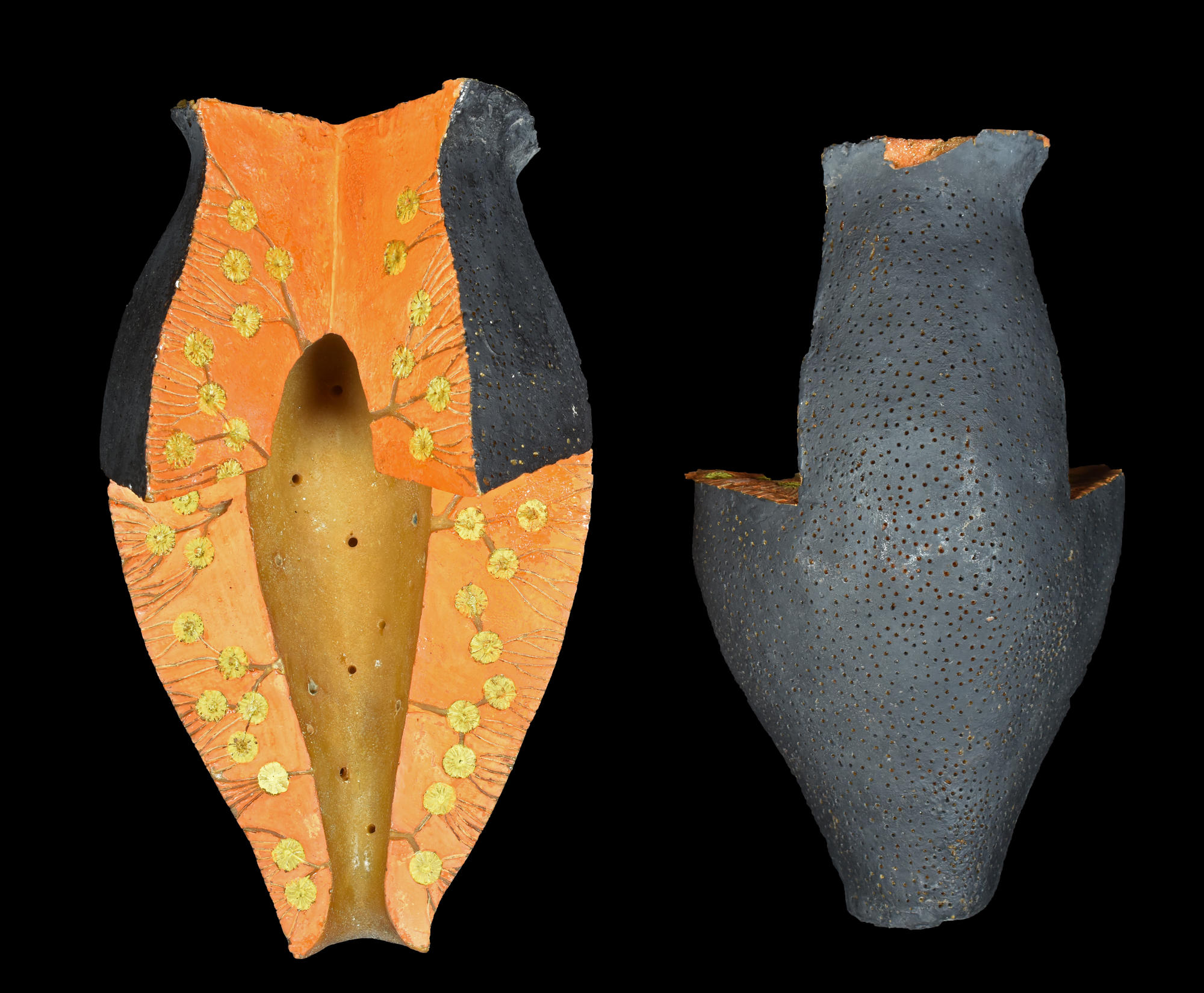 Modell der Anatomie eines Hornkieselschwamms (Demospongiae). Paläontologischen Übungssammlung, Institut für Geologische Wissenschaften.
