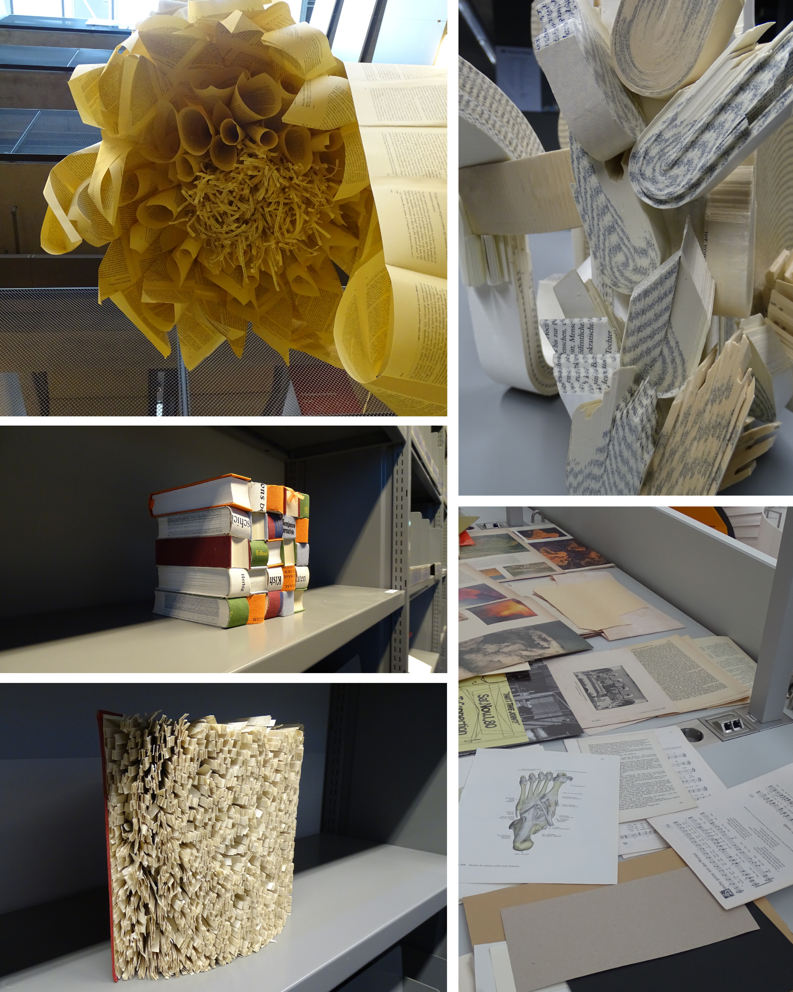 Ausstellung "Vermutungen zwischen Wissen und Wolken" in der Philologischen Bibliothek